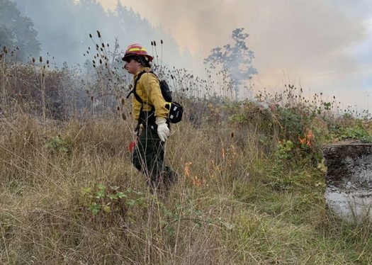 Since the year 2000, California has experienced 15 of its 20 most destructive wildfires on record. (Ryan Reed/FireGen)