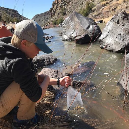 It's estimated that 200 million Americans are drinking water contaminated with PFAS, according to Public Employees for Environmental Responsibility. (Rachel Conn)