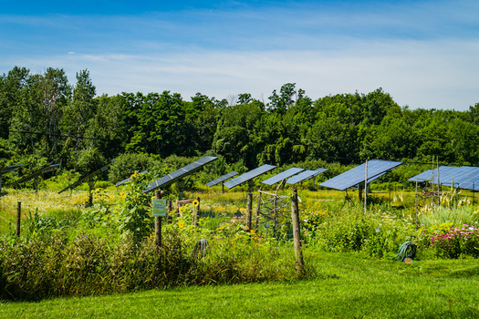 Cumulative community solar capacity has grown by about 121% year over year since 2010, more than doubling in capacity on average, according to research from the National Renewable Energy Laboratory. (Adobe Stock)