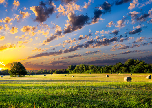 According to the National Agricultural Law Center, more than a dozen states have taken to steps to restrict or prohibit foreign entities from buying U.S. farmland. (Adobe Stock)