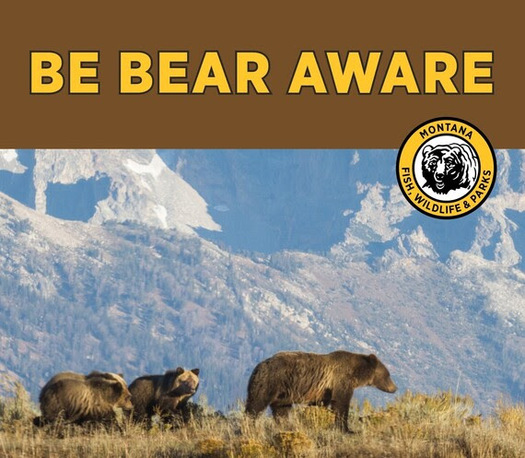 As grizzly bear populations continue to expand across Montana, the Department of Fish, Wildlife and Parks is engaging local communities within likely grizzly range to share information on bear safety as part of its 
