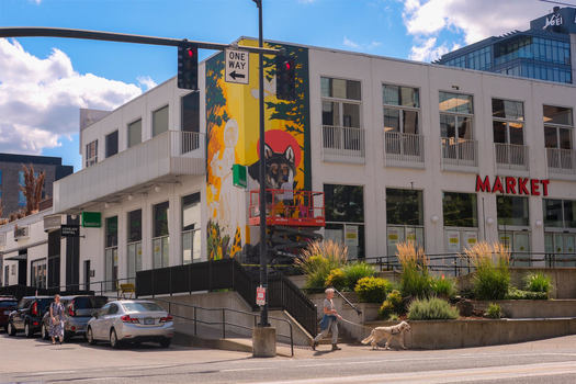A mural project celebrating the Endangered Species Act opens in Portland next Thursday. (Portland Street Art Alliance)