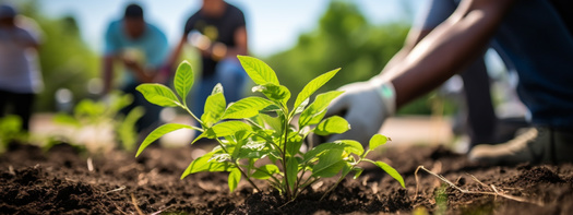 The Greening America's Cities initiative will award $400 million primarily to community environmental justice organizations through 2030. (Adobe Stock)