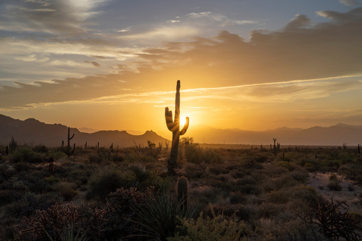 Arizona is opening one cooling center and one cooling stop in the Government Mall. The first will be located at 1818 W. Adams St, the second is a portable, cooled shipping container at 1801 W. Madison St. (Ray Redstone/Adobe Stock)