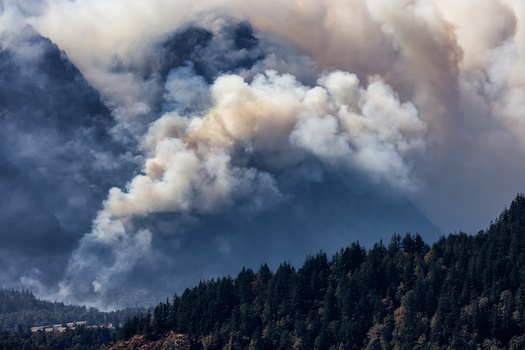 Massive Canadian wildfires, which began in May, have since sent much of the eastern United States indoors because of air-quality advisories. (Adobe Stock)