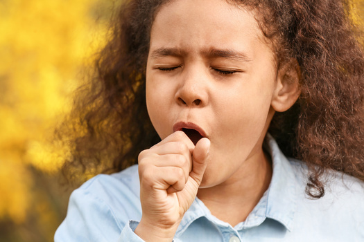 Los sntomas del asma son similares a los de la bronquiolitis, una afeccin ms comn, y tomar medicamentos diseados slo para el asma puede ser riesgoso. (Adobe Stock)