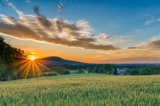 The Maryland Agricultural Land Preservation Program was established in 1977. (Xavier Ascanio/Adobe Stock)
