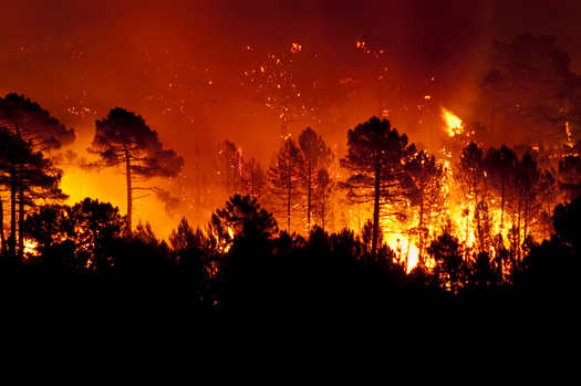 Wildfire smoke is not only a mixture of hazardous air pollutants, but these fires also release large quantities of carbon dioxide and other greenhouse gases into the atmosphere. (Adobe Stock) 