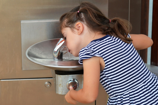Health and environmental experts say even just low-level exposure to lead in drinking water can negatively affect a child's development. (Adobe Stock)