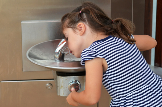Health and environmental experts say even just low-level exposure to lead in drinking water can negatively affect a child's development. (Adobe Stock)