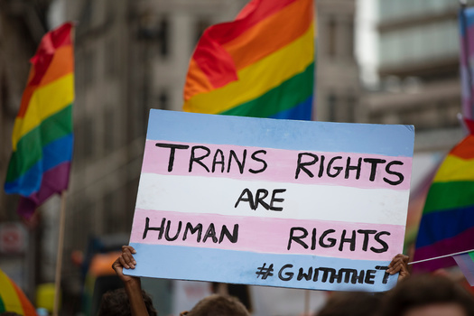 In 2023, 566 anti-trans bills have been introduced in 49 states including 65 in Texas, according to Trans Legislation Tracker. (inkdrop/AdobeStock)