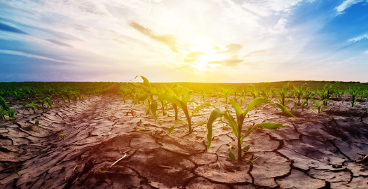 After the late August heat wave, less than half of Nebraska's topsoil had sufficient moisture, and only slightly more than half of pasture and rangeland was considered in good condition. (Adobe Stock)