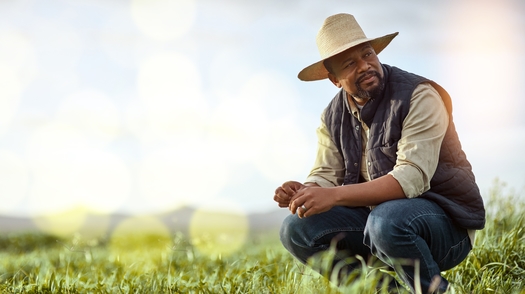 A University of Illinois report says such factors as climate change, fluctuating markets and the cost of operations are major stressors that farmers can't always control. (Adobe Stock)