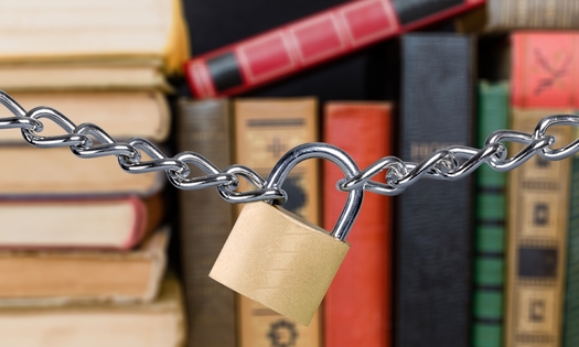 Many librarians are concerned that groups pushing them to pull certain titles from their shelves are promoting authoritarianism rather than democracy. (Adobe Stock)