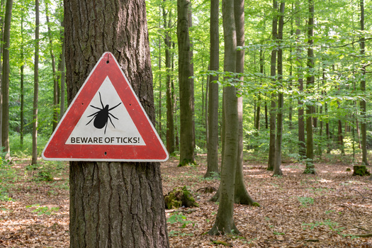 U.S. medical costs associated with tick-borne diseases are substantial, with Lyme disease alone resulting in anywhere between $712 million and $1.3 billion in annual treatment costs, according to John Hopkins Bloomberg School of Public Health. (Adobe Stock) 