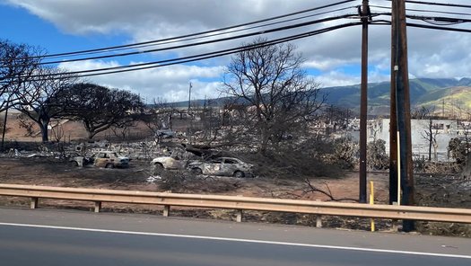 Damage seen on Maui after catastrophic, wind-driven fires swept through the area. (Brea Burkholz/Direct Relief)