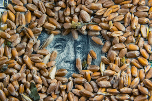 Ag-based organizations say if there's a government shutdown, it would add more stress to those trying to adopt a new Farm Bill because lawmakers could not consult with furloughed USDA staff about the importance of certain programs. (Adobe Stock)
