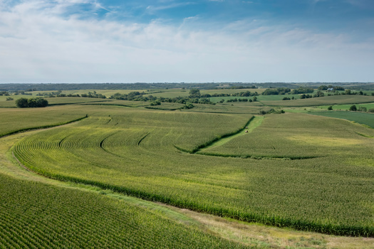 Iowa has more than 30 million acres of farmed land, and boasts the nation's highest production of corn, soybeans, pork and eggs, according to Iowa Farm Facts. (Adobe Stock)