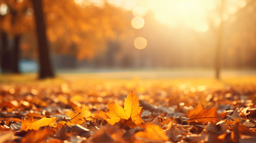 Pennsylvania has taken some action to keep yard waste out of landfills. According to the U.S. Composting Council, 17 states have yard debris bans in place. (Nico Vincentini/Adobe Stock)