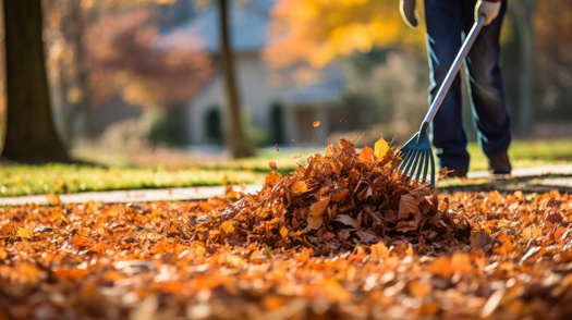 A survey of nearly 1,200 people nationwide found just 25% of people leave their leaves where they fall despite 72% of respondents acknowledging that fallen leaves and the leaf layer are beneficial to wildlife and biodiversity. (Adobe Stock)