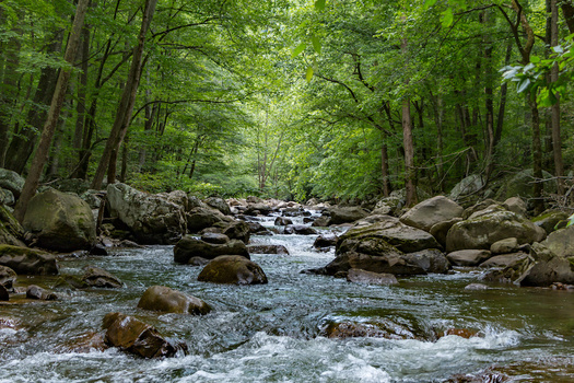 Water Quality standards mandated by the federal Clean Water Act are designed to cap the amount of pollution entering West Virginia waters from industrial facilities, wastewater treatment plants, storm sewers, and other sources. (Adobe Stock)
