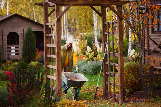 A National Wildlife Federation survey finds 36% of respondents are required by city ordinances or homeowners associations to rake their leaves. Additionally, 14% of those surveyed got rid of 10 bags of leaves per year. (Adobe Stock)