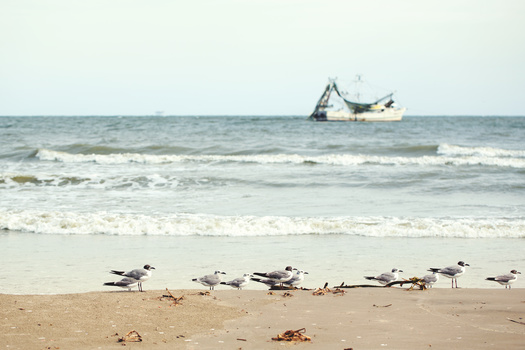 The state established a 1-mile buffer zone off Elmers Island and Grand Terre Island, and a 3-mile buffer off of Grand Isle. (Adobe Stock)