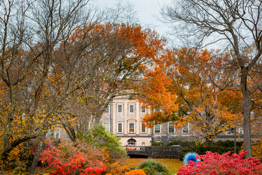 Tennesseans will see peak colors for fall foliage across the state through Oct. 28, according to the Farmer's Almanac 2023. (Jacki/AdobeStock) 