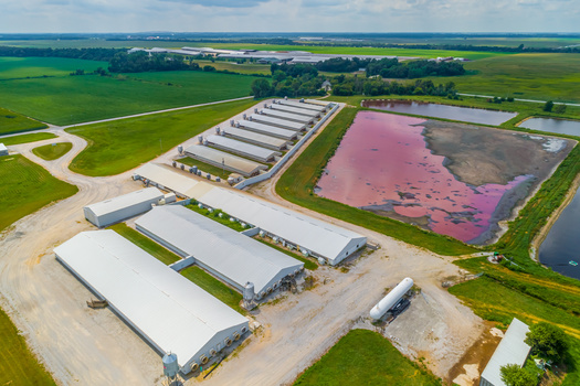 About 345,000 hogs and pigs live on Wisconsin farms, according to the latest USDA National Agricultural Statistics Service - Hogs and Pigs report. (Adobe Stock) 
