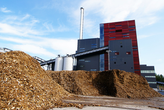 According to the U.S. Energy Information Administration, Georgia ranks second in the nation, after North Carolina, in densified biomass fuel manufacturing capacity. (Andrei Merkulov/Adobe Stock)