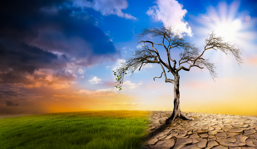 According to the Indiana Climate Change Impact Assessments from Purdue University, Hoosiers could see temperatures rise by up to about 6 degrees Fahrenheit by 2050. (Adobe Stock)