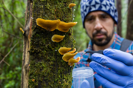 Flora fauna and fungi / Public News Service