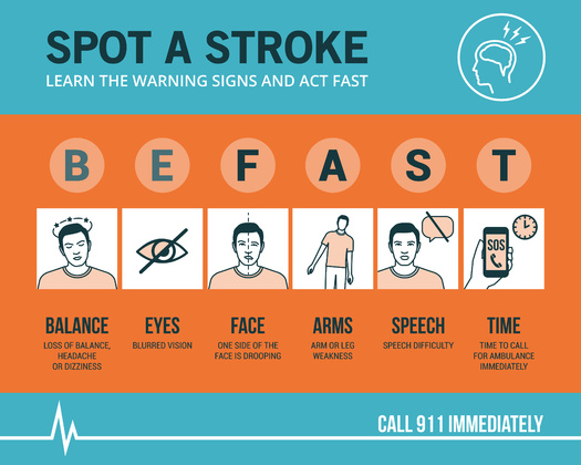 Stroke is ranked as the second-leading cause of death worldwide, with an annual mortality rate of about 5.5 million people. (elenabsl/Adobe Stock)