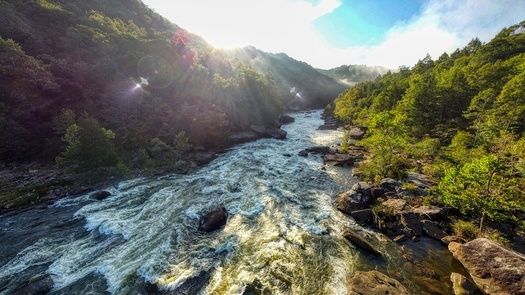 Streams play a critical role in carrying sediments, nutrients and other materials into rivers and lakes and on to the ocean, according to the Smithsonian Environmental Research Center. (Adobe Stock) 