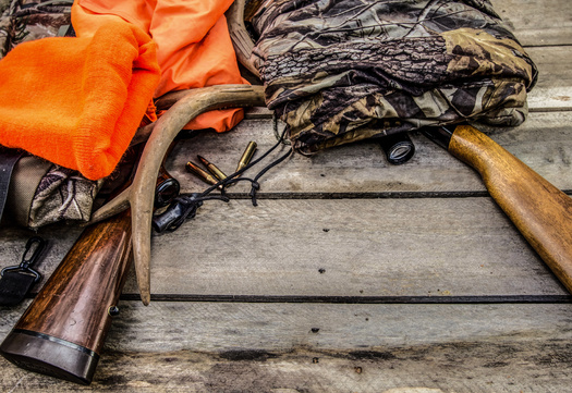 One of North Dakota's more popular hunting seasons, the firearm deer season, runs for roughly two weeks each November. (Adobe Stock)