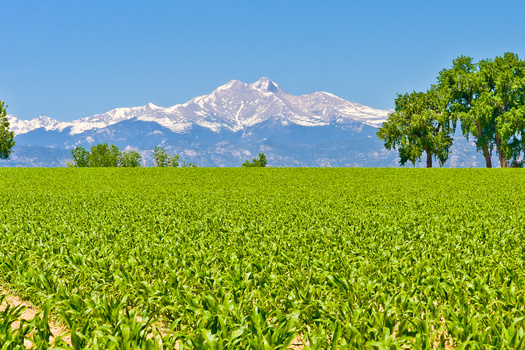 Farms are in a unique position to slow global warming by reducing methane emissions, which are more than 80 times more potent at trapping heat in the atmosphere than CO2. (Adobe Stock)