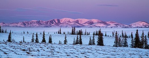 An assessment of whether to develop on Alaska's D-1 lands includes 28 million acres, an area larger than the state of Virginia. (BLM Alaska/Wikimedia Commons)