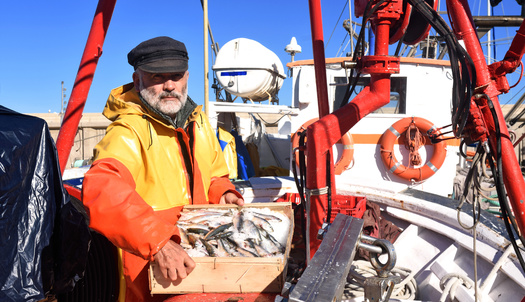 More than 6,000 blue economy businesses in Massachusetts employ a total of 100,000 individuals, who earn nearly $4 billion in annual wages. (Adobe Stock)