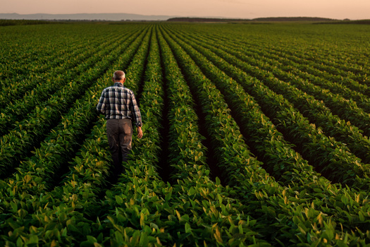 Farmers and ranchers steward about 44% of the United States' landmass. (ZoranZeremski/Adobe Stock)
