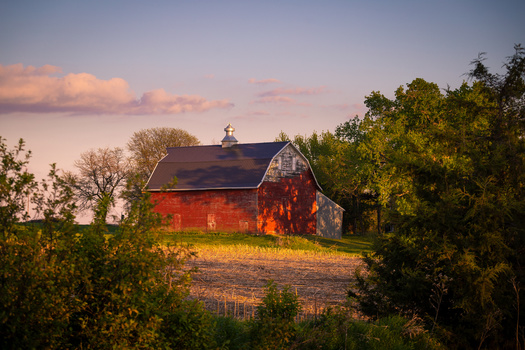 As of 2021, there were more than 17,000 farms with at least one certified organic crop, compared with only around 150 certified biodynamic farms in the United States. (sjredwin1/Adobe Stock)