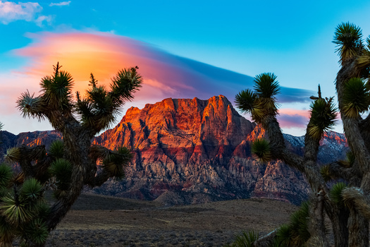 The Nevada Division of Outdoor Recreation will announce grant awards for youths in early December which will aim to increase environmental literacy, foster stewardship of natural resources, and promote physical health in the outdoors. (Adobe Stock) 