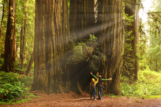 Research shows people who live near parks or natural spaces have lower rates of disease and higher rates of social cohesion. (Yaya Ernst/Adobestock)