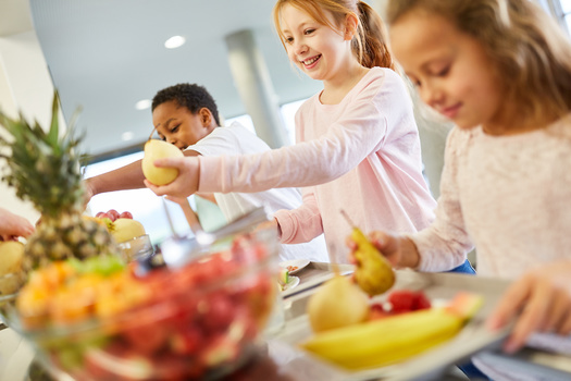 Community-based organizations applied for grants from $5,000 to $20,000, to support and actively promote the Healthy School Meals for All program locally. (Adobe Stock)
