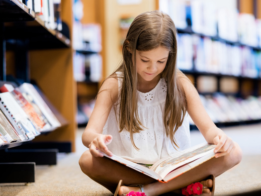 The Washington Library Association sponsors or supports five book awards for young readers in the state. (Sergey Nivens/Adobe Stock)