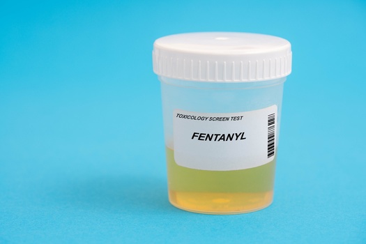 Sen. Holly Thompson, R-Scott City, sponsored legislation to decriminalize fentanyl testing strips, which used to be considered drug paraphernalia. (luchschenF/Adobe Stock)