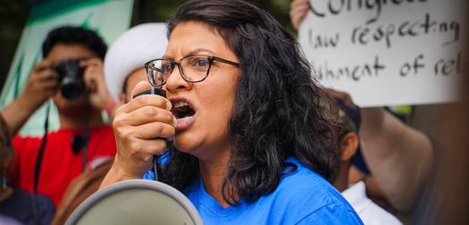 Rashida Tlaib is the only Palestinian American and just one of two Muslim Women in Congress. (SuperBasementBoy/flickr.com)