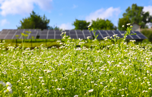 Maine's four-year climate plan aims to decrease the state's greenhouse gas emissions by 45% by 2030 and 80% by 2050, and achieve carbon neutrality by 2045. (Adobe Stock)