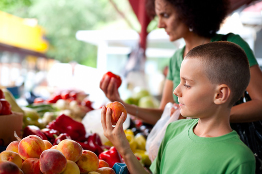 States wanting to implement Summer EBT this coming summer need to have plans in place by early 2024. (Adobe Stock)