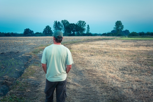 The National Young Farmers Survey found 62% of Northeastern farmers attribute changes in weather events they are experiencing on their farms to climate change. (Adobe Stock)