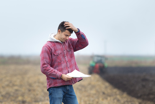 For now, U.S. farmers have certainty about commodity policies and other USDA programs with the Farm Bill being extended another year. But conservation groups hope Congress is aggressive in approving a robust long-term plan well before the next deadline. (Adobe Stock)